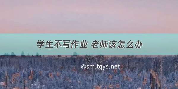 学生不写作业 老师该怎么办