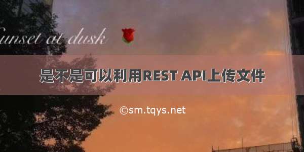 是不是可以利用REST API上传文件