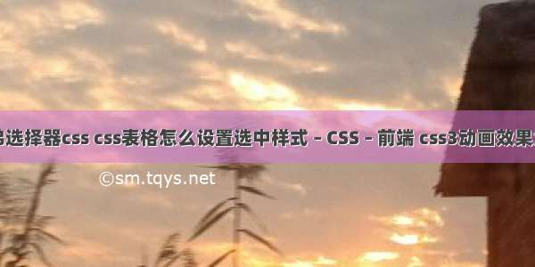 兄弟选择器css css表格怎么设置选中样式 – CSS – 前端 css3动画效果大全