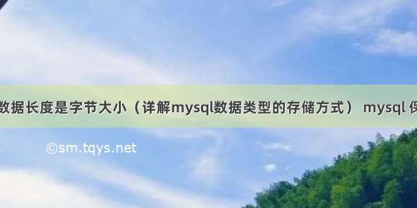 mysql数据长度是字节大小（详解mysql数据类型的存储方式） mysql 保存数组