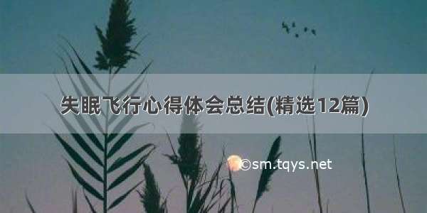 失眠飞行心得体会总结(精选12篇)