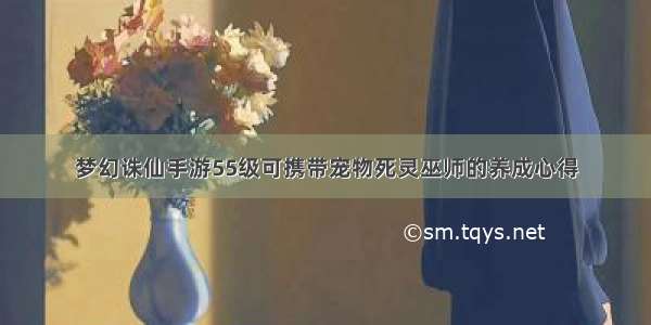 梦幻诛仙手游55级可携带宠物死灵巫师的养成心得