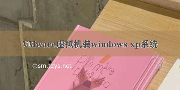 VMware虚拟机装windows xp系统