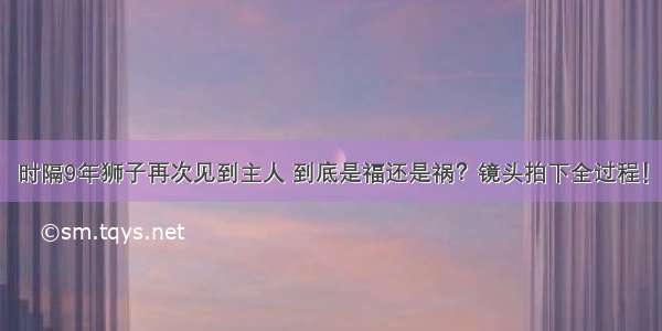 时隔9年狮子再次见到主人 到底是福还是祸？镜头拍下全过程！