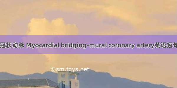 心肌桥-壁冠状动脉 Myocardial bridging-mural coronary artery英语短句 例句大全