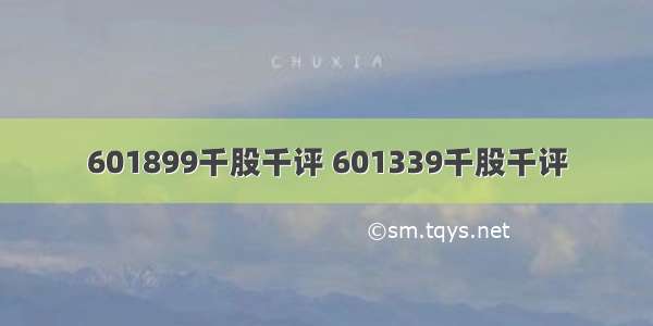 601899千股千评 601339千股千评