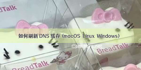 如何刷新 DNS 缓存 (macOS  Linux  Windows)