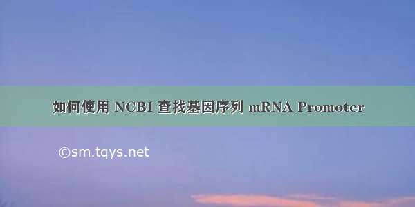 如何使用 NCBI 查找基因序列 mRNA Promoter