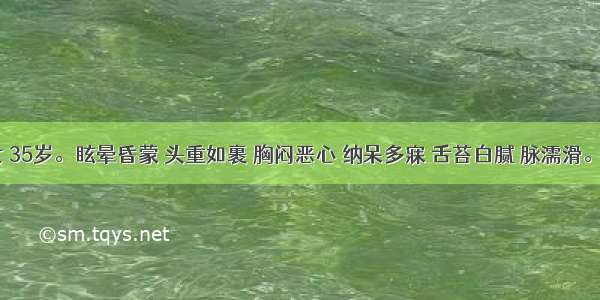 患者 女 35岁。眩晕昏蒙 头重如裹 胸闷恶心 纳呆多寐 舌苔白腻 脉濡滑。其病机