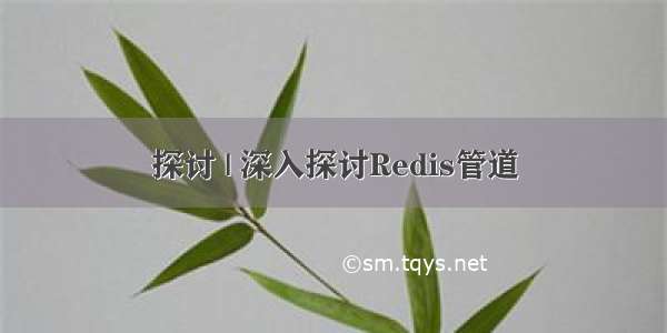 探讨 | 深入探讨Redis管道