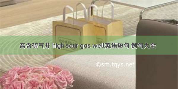 高含硫气井 high sour gas well英语短句 例句大全