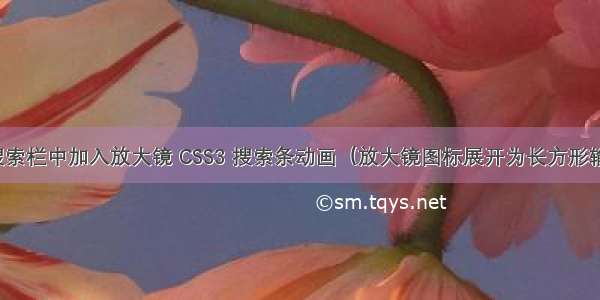 html在搜索栏中加入放大镜 CSS3 搜索条动画（放大镜图标展开为长方形输入框）...