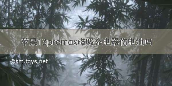 苹果13promax磁吸充电器伤电池吗