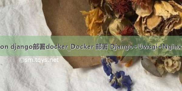 python django部署docker_Docker 部署 Django+Uwsgi+Nginx+Vue