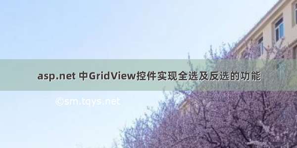 asp.net 中GridView控件实现全选及反选的功能