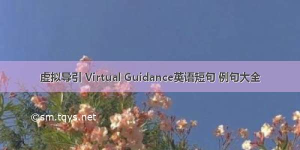 虚拟导引 Virtual Guidance英语短句 例句大全