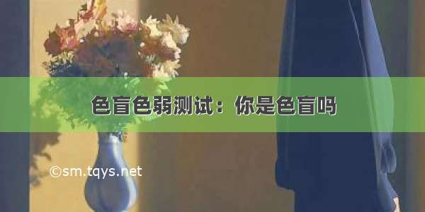 色盲色弱测试：你是色盲吗