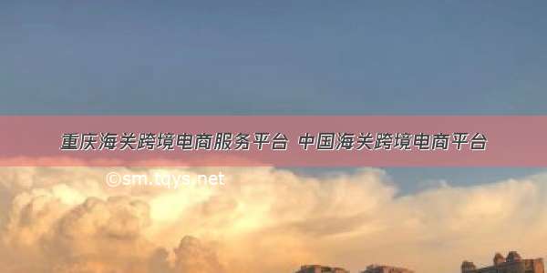 重庆海关跨境电商服务平台 中国海关跨境电商平台
