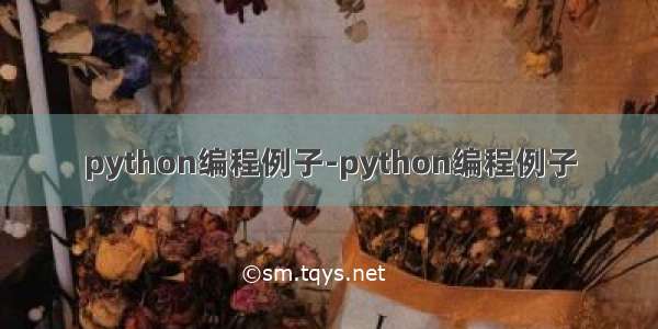 python编程例子-python编程例子
