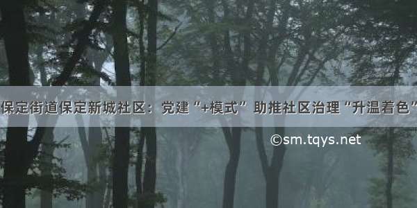 保定街道保定新城社区：党建“+模式” 助推社区治理“升温着色”