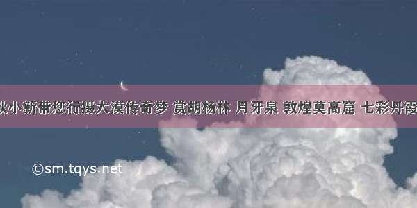 十月金秋小新带您行摄大漠传奇梦 赏胡杨林 月牙泉 敦煌莫高窟 七彩丹霞 嘉峪关 