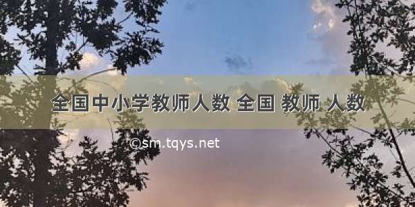 全国中小学教师人数 全国 教师 人数