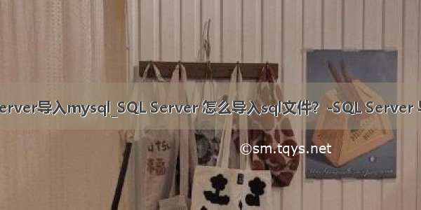 sqlserver导入mysql_SQL Server 怎么导入sql文件？-SQL Server 导入s