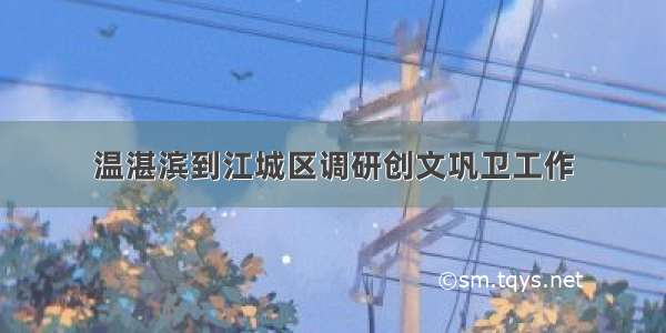 温湛滨到江城区调研创文巩卫工作