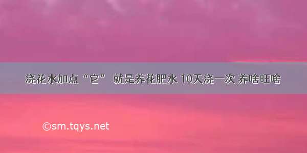 浇花水加点“它” 就是养花肥水 10天浇一次 养啥旺啥