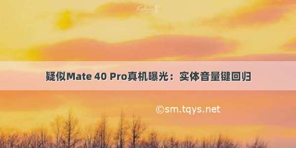 疑似Mate 40 Pro真机曝光：实体音量键回归