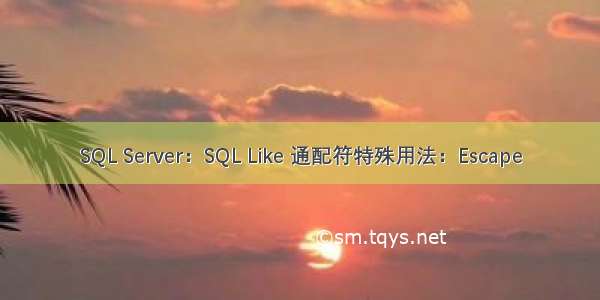 SQL Server：SQL Like 通配符特殊用法：Escape