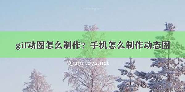 gif动图怎么制作？手机怎么制作动态图