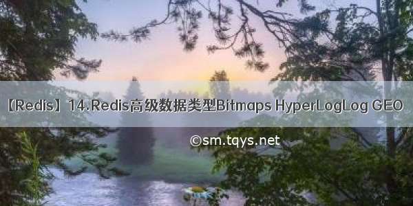 【Redis】14.Redis高级数据类型Bitmaps HyperLogLog GEO