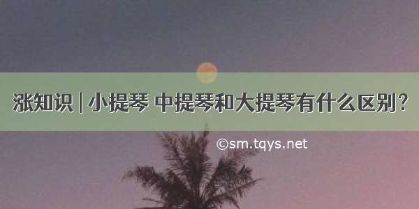 涨知识 | 小提琴 中提琴和大提琴有什么区别？