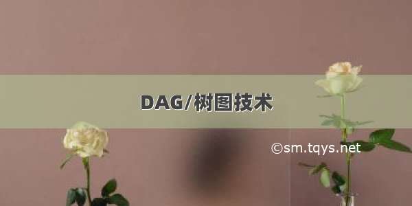 DAG/树图技术