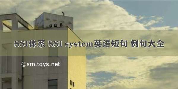 SSI体系 SSI system英语短句 例句大全