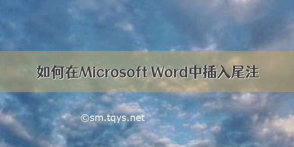 如何在Microsoft Word中插入尾注