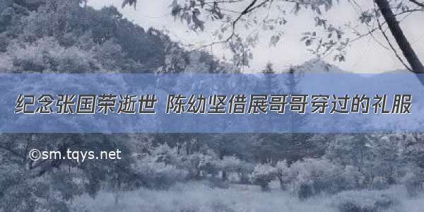 纪念张国荣逝世 陈幼坚借展哥哥穿过的礼服