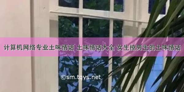 计算机网络专业土味情话 土味情话大全 女生撩男生的土味情话