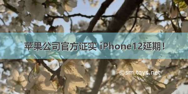 苹果公司官方证实 iPhone12延期！