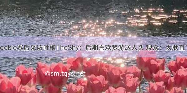 Rookie赛后采访吐槽TheShy：后期喜欢梦游送人头 观众：太耿直了