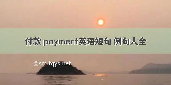 付款 payment英语短句 例句大全