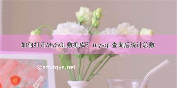 如何打开MySQL数据库？ mysql 查询后统计总数
