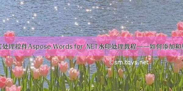 Word格式处理控件Aspose.Words for .NET水印处理教程——如何添加和删除水印