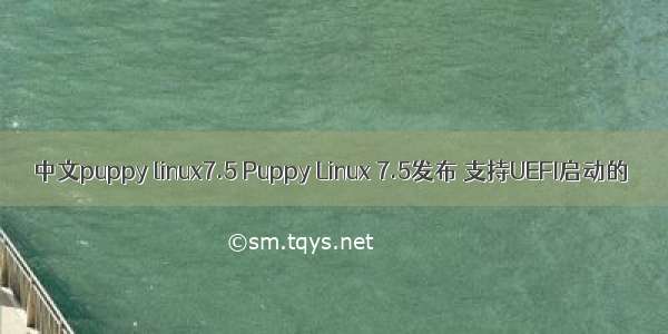 中文puppy linux7.5 Puppy Linux 7.5发布 支持UEFI启动的