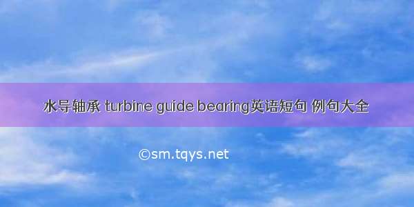 水导轴承 turbine guide bearing英语短句 例句大全