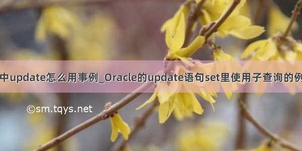 数据库中update怎么用事例_Oracle的update语句set里使用子查询的例子解释