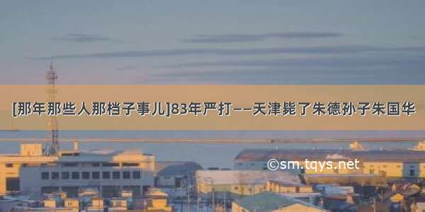 [那年那些人那档子事儿]83年严打——天津毙了朱德孙子朱国华