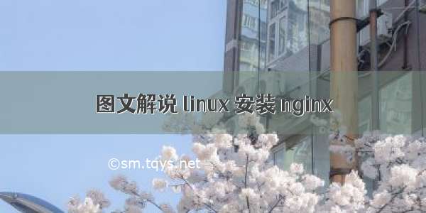 图文解说 linux 安装 nginx