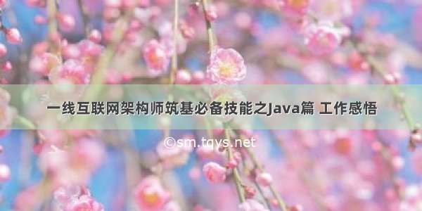 一线互联网架构师筑基必备技能之Java篇 工作感悟